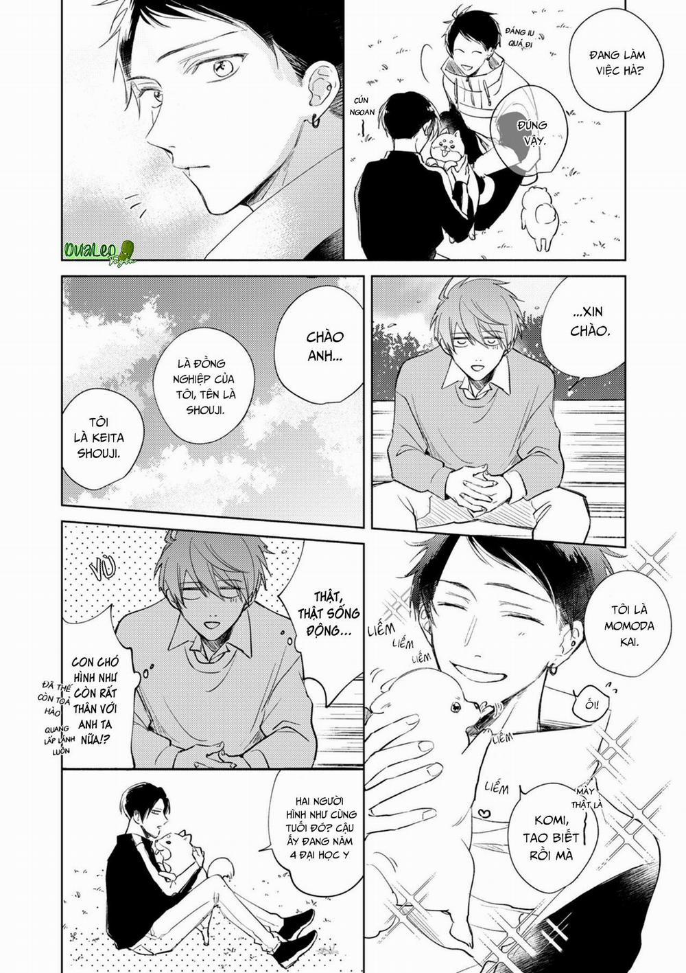 Cấp Trên Ác Quỷ Gokudera Của Tôi Muốn Bị Phơi Bày 3 trang 23