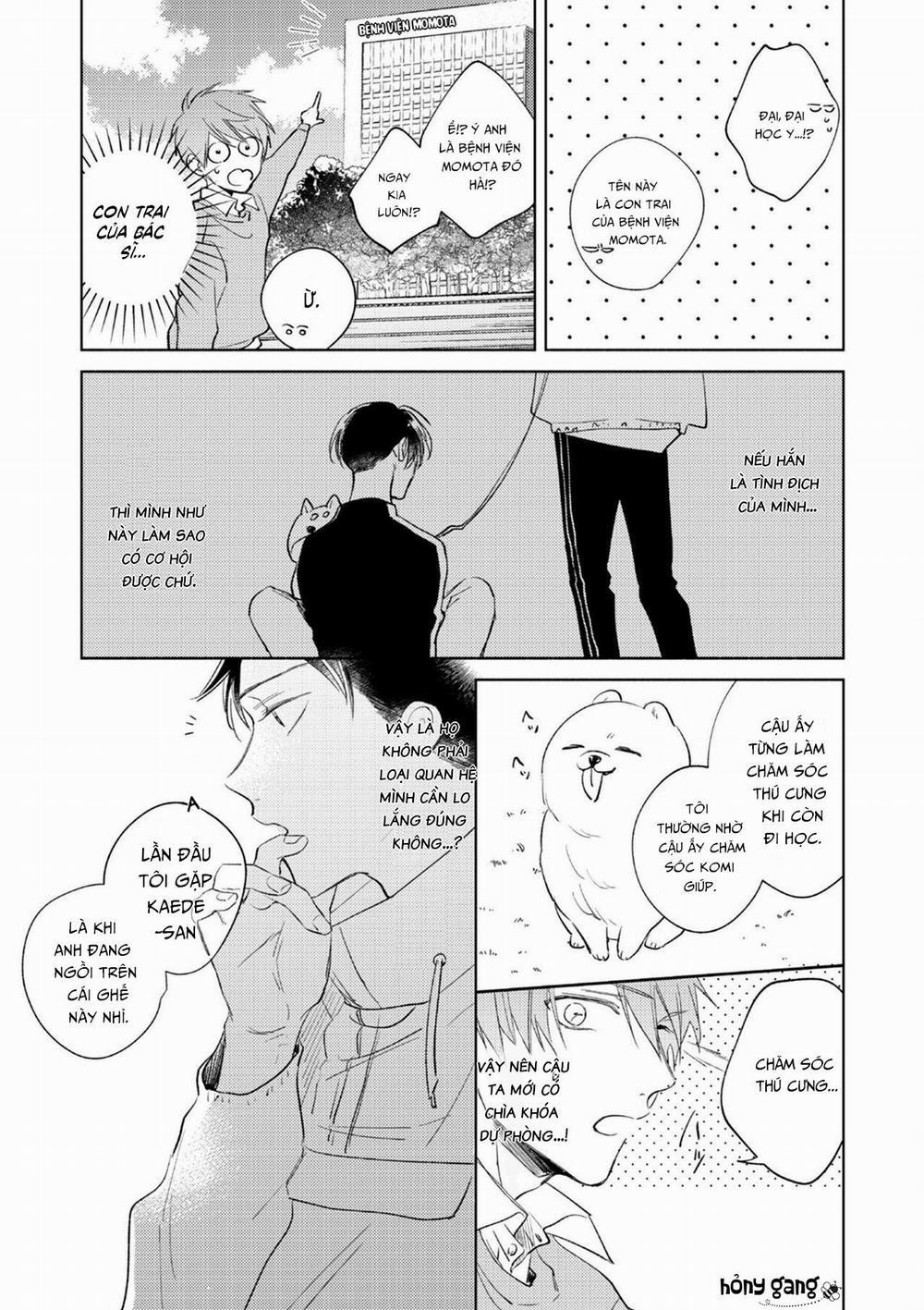 Cấp Trên Ác Quỷ Gokudera Của Tôi Muốn Bị Phơi Bày 3 trang 24