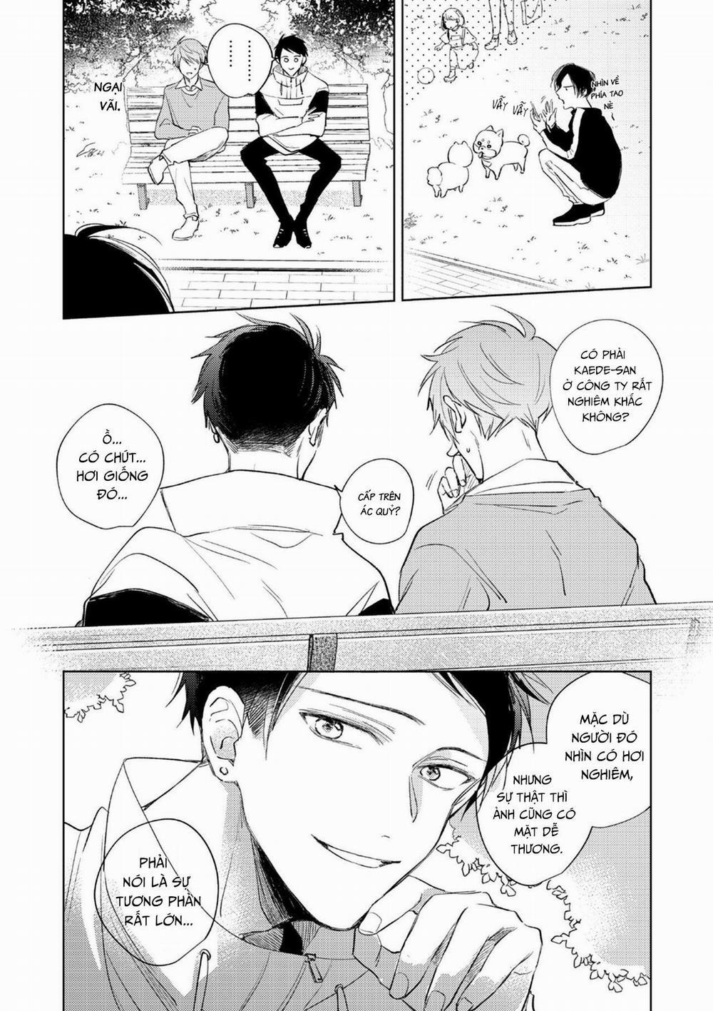 Cấp Trên Ác Quỷ Gokudera Của Tôi Muốn Bị Phơi Bày 3 trang 26