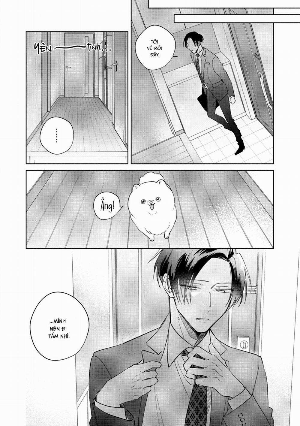 Cấp Trên Ác Quỷ Gokudera Của Tôi Muốn Bị Phơi Bày 9 trang 13