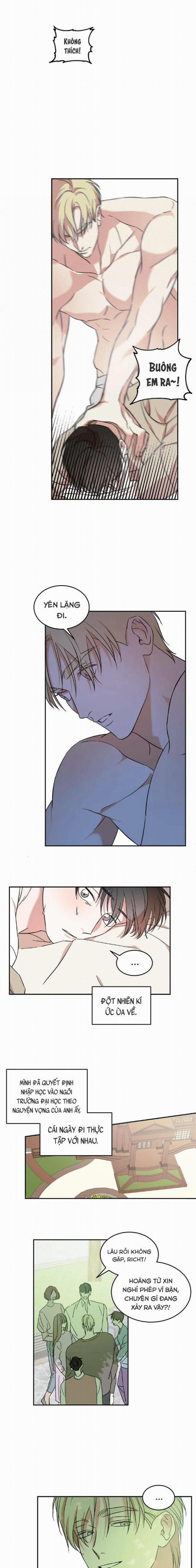 Cấp Trên 10 trang 3