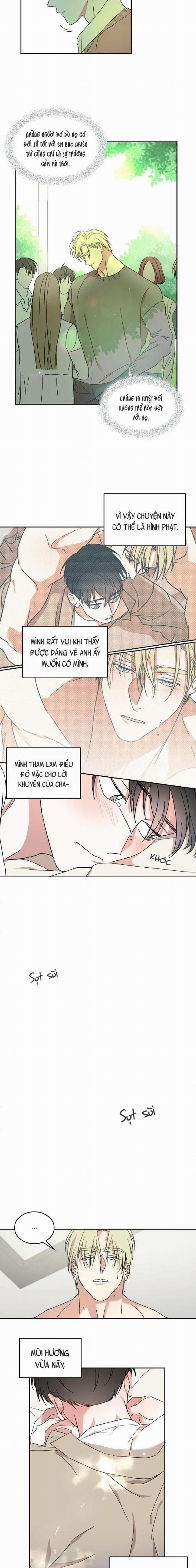 Cấp Trên 10 trang 5