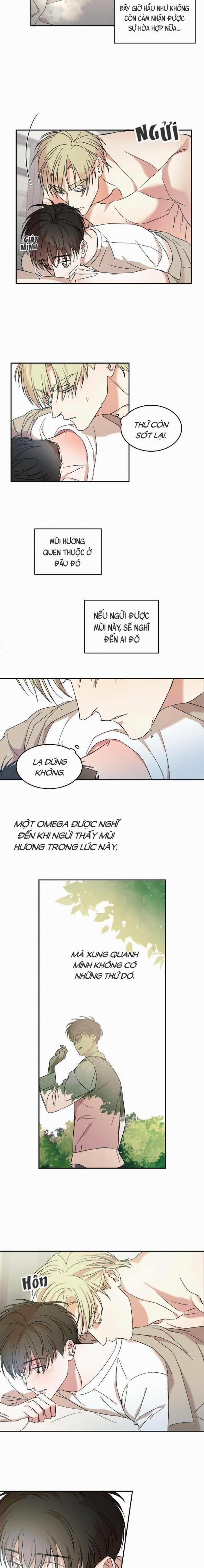 Cấp Trên 10 trang 6