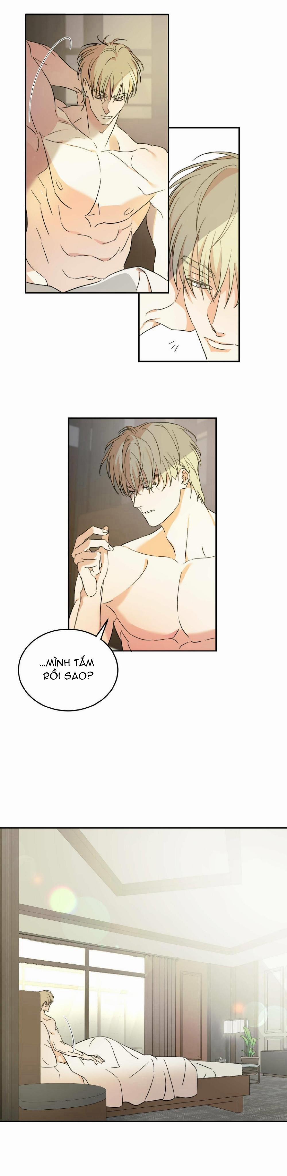 Cấp Trên 12 trang 2