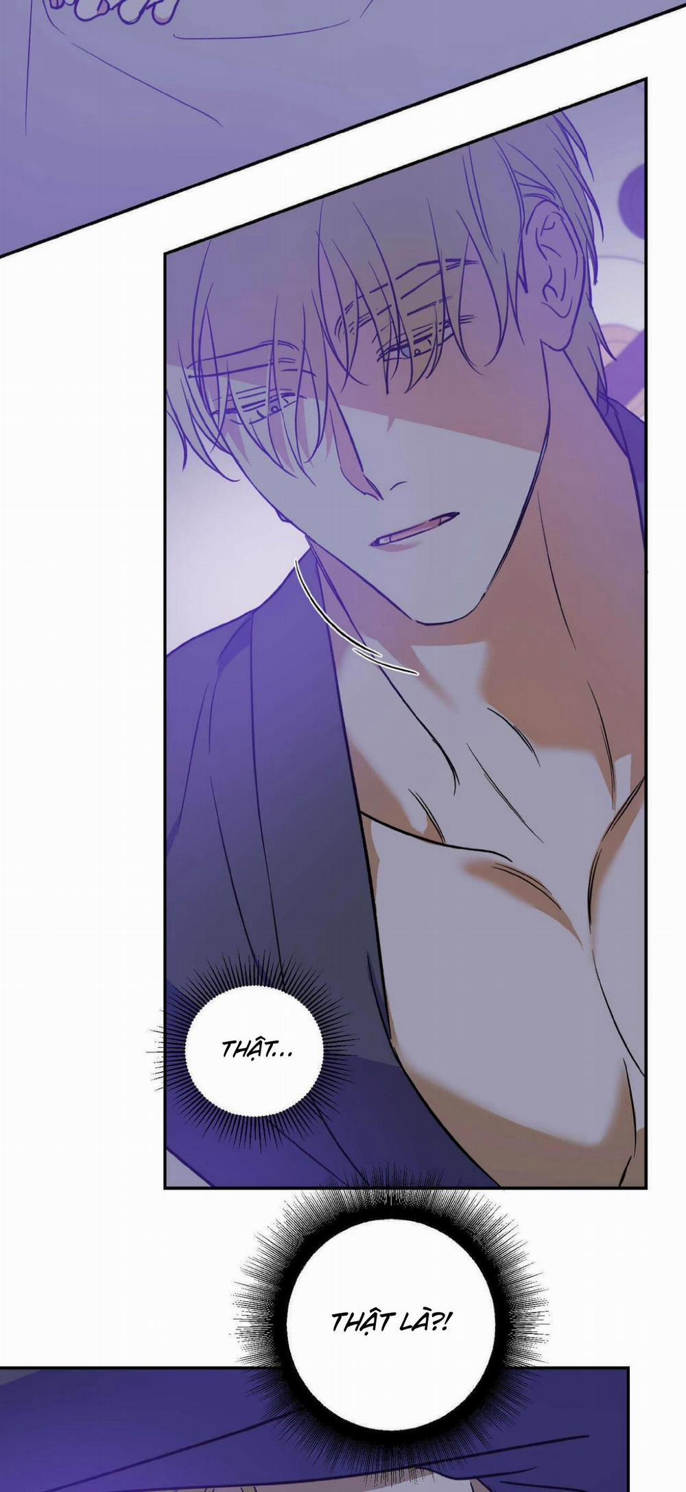 Cấp Trên 15 trang 3