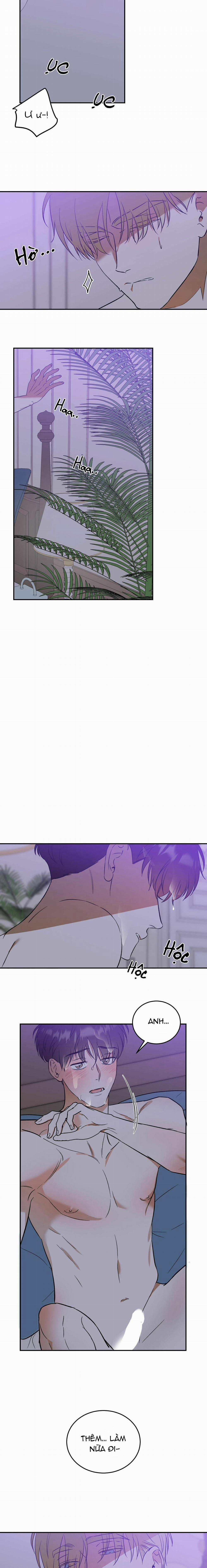 Cấp Trên 16 trang 17