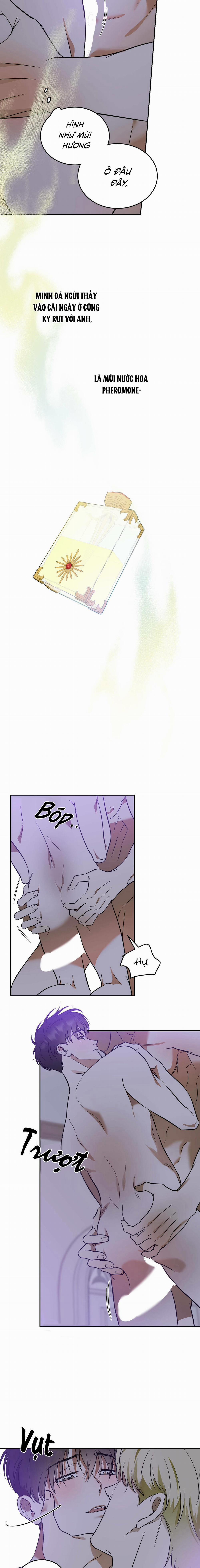 Cấp Trên 16 trang 8