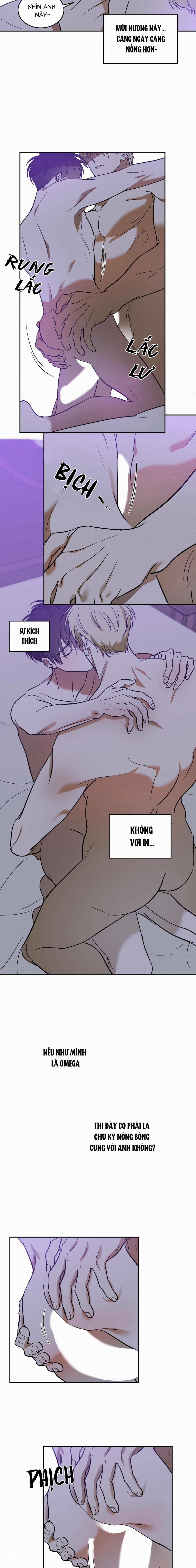 Cấp Trên 16 trang 9