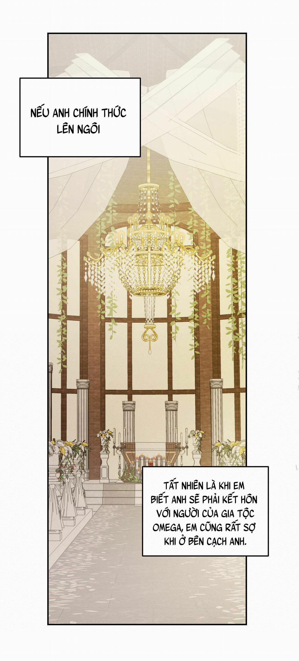 Cấp Trên 2 trang 45