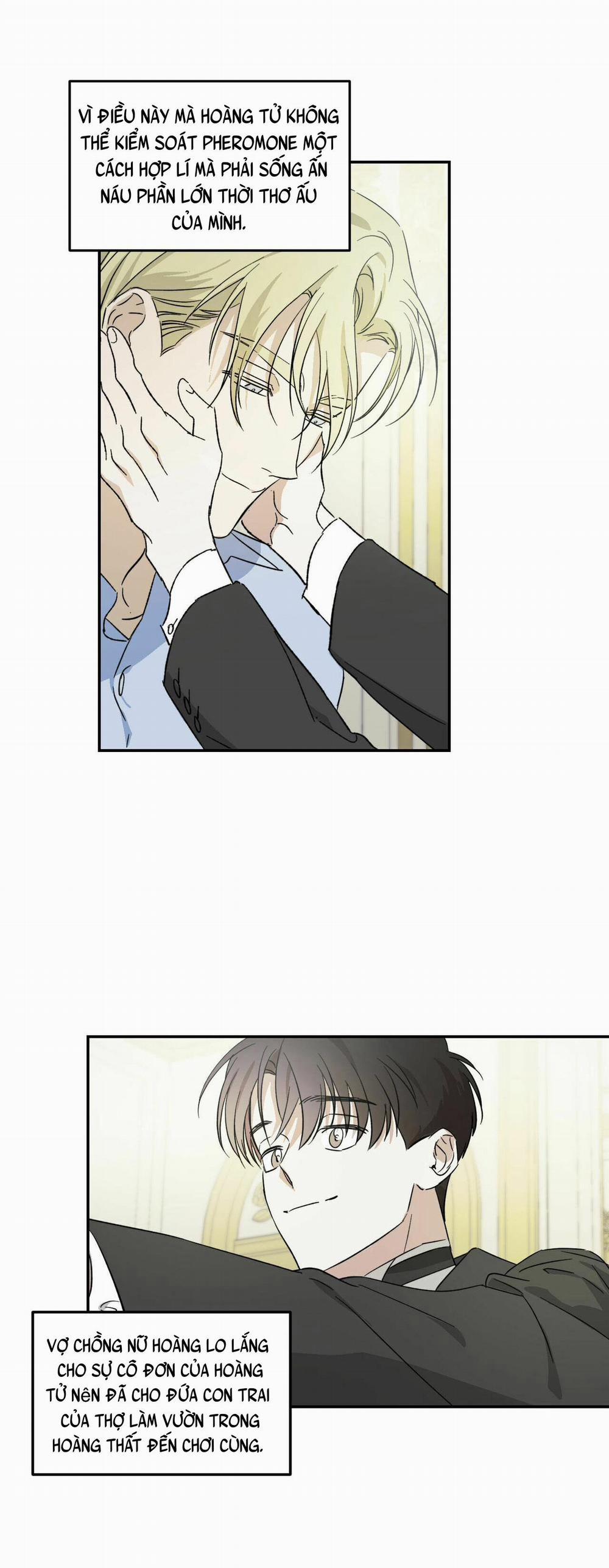 Cấp Trên 2 trang 8