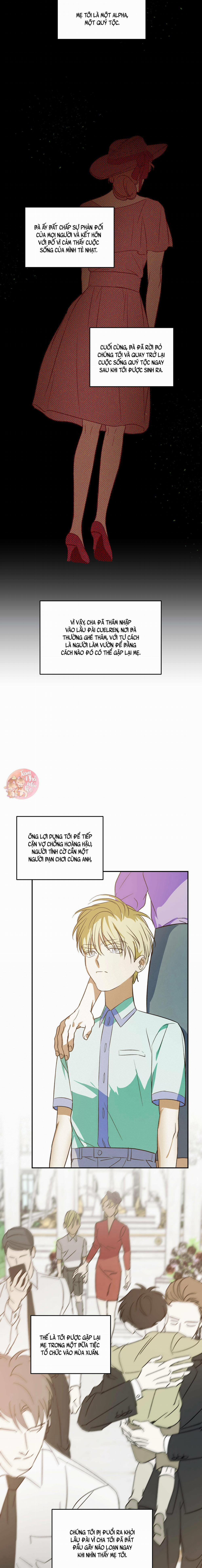 Cấp Trên 21 trang 7