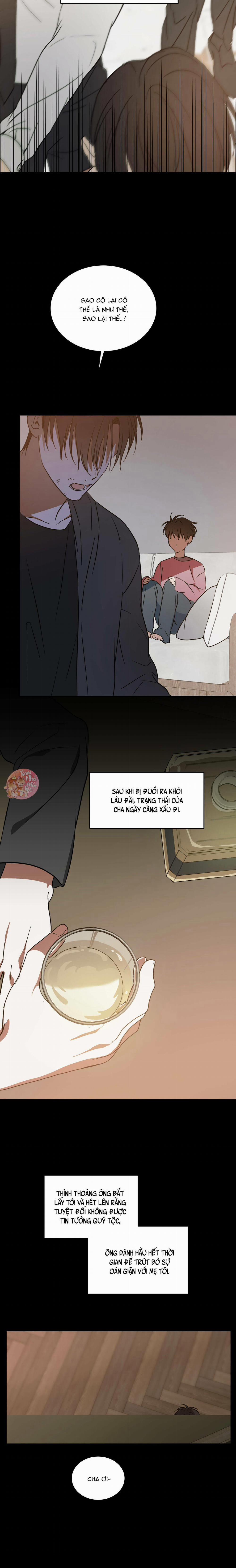 Cấp Trên 21 trang 8