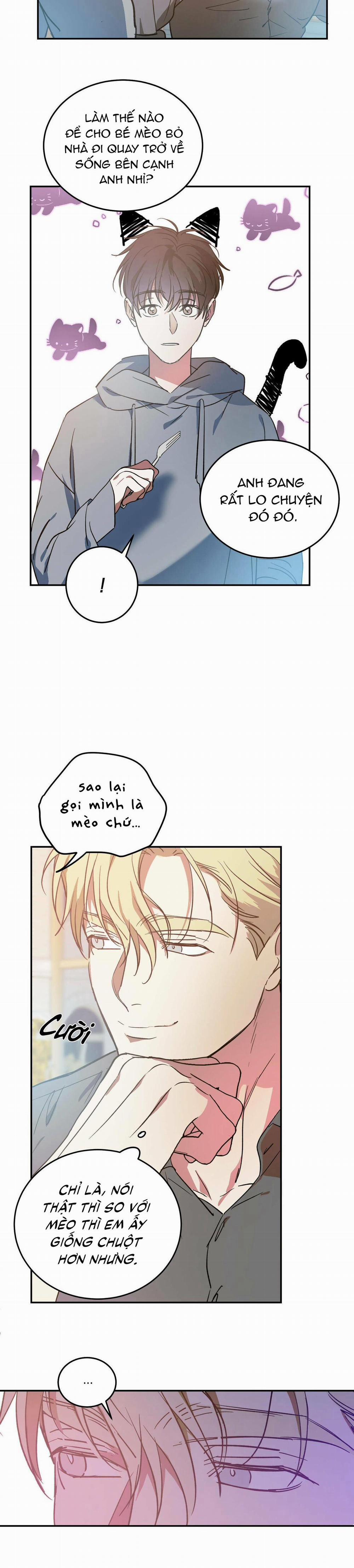 Cấp Trên 22 trang 8