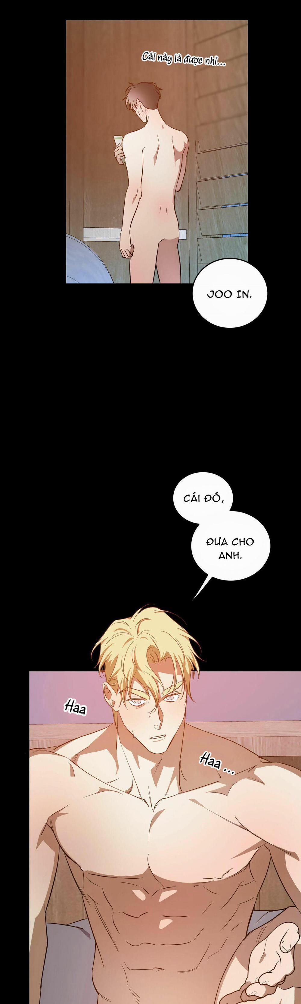 Cấp Trên 27 trang 11