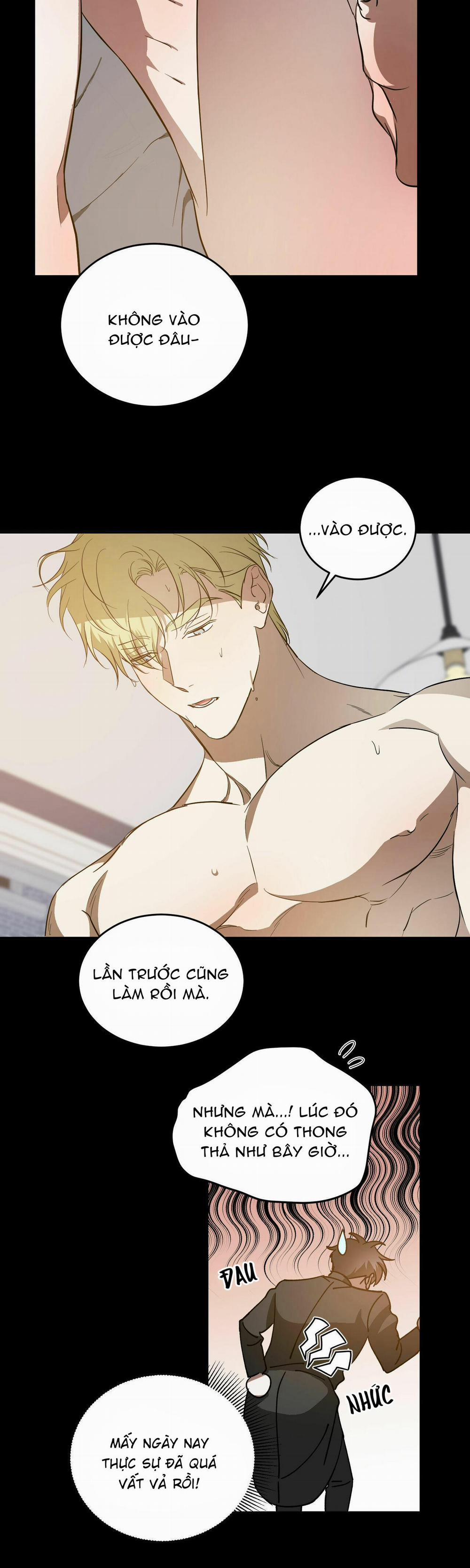 Cấp Trên 27 trang 9