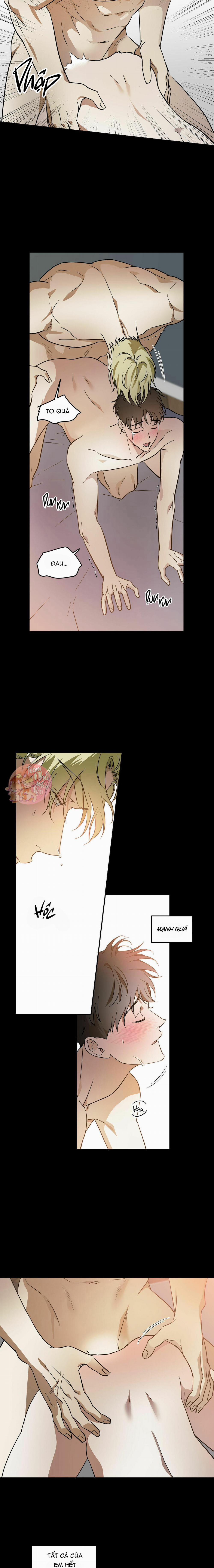 Cấp Trên 28 trang 11