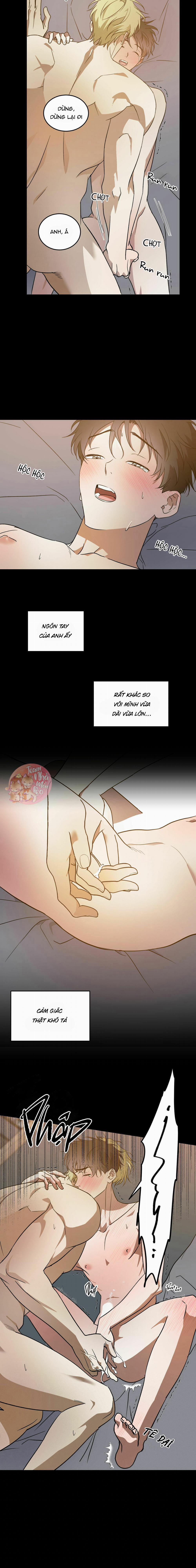 Cấp Trên 28 trang 5