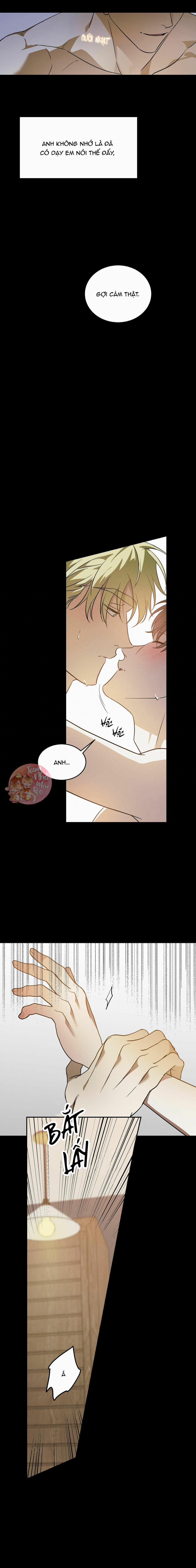 Cấp Trên 28 trang 8