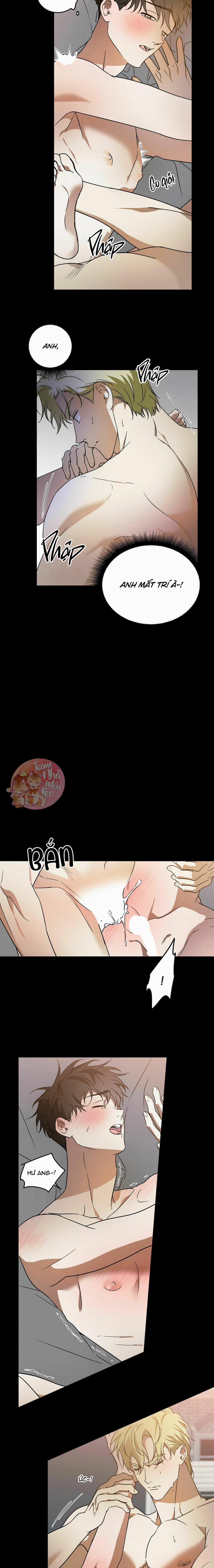 Cấp Trên 29 trang 4