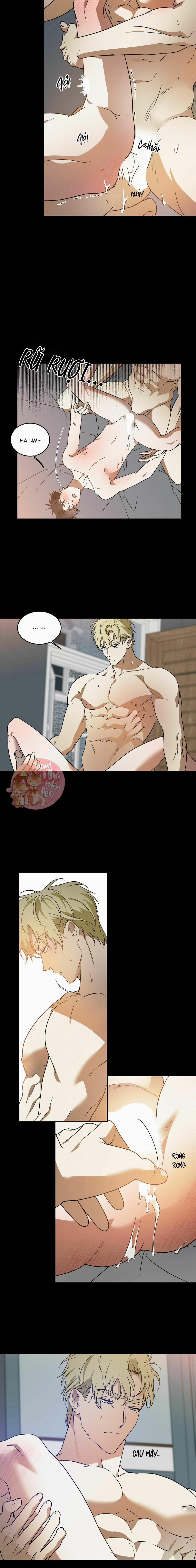 Cấp Trên 29 trang 5