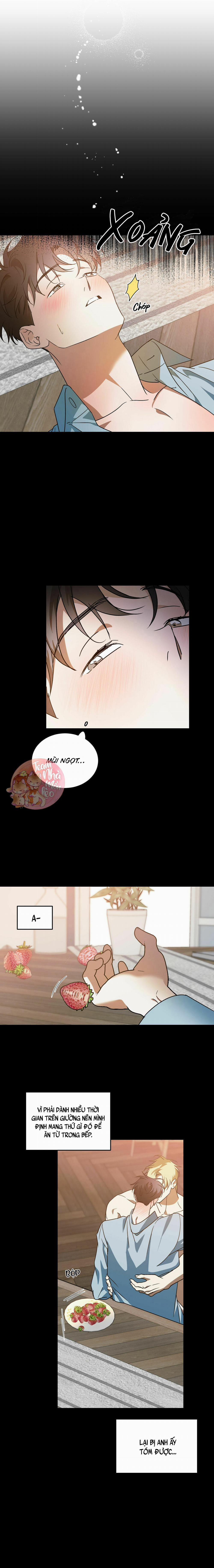 Cấp Trên 29 trang 7