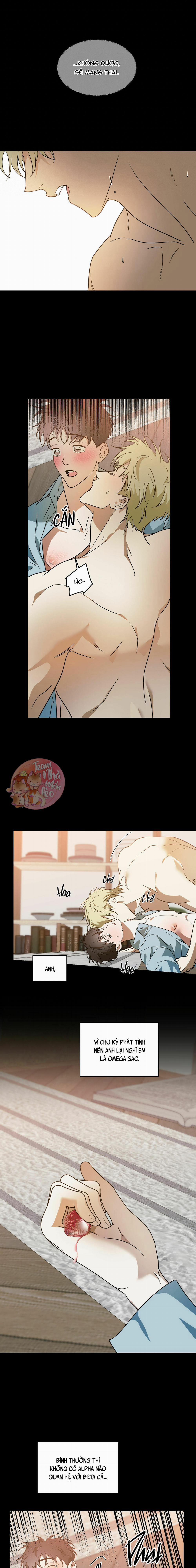 Cấp Trên 29 trang 8