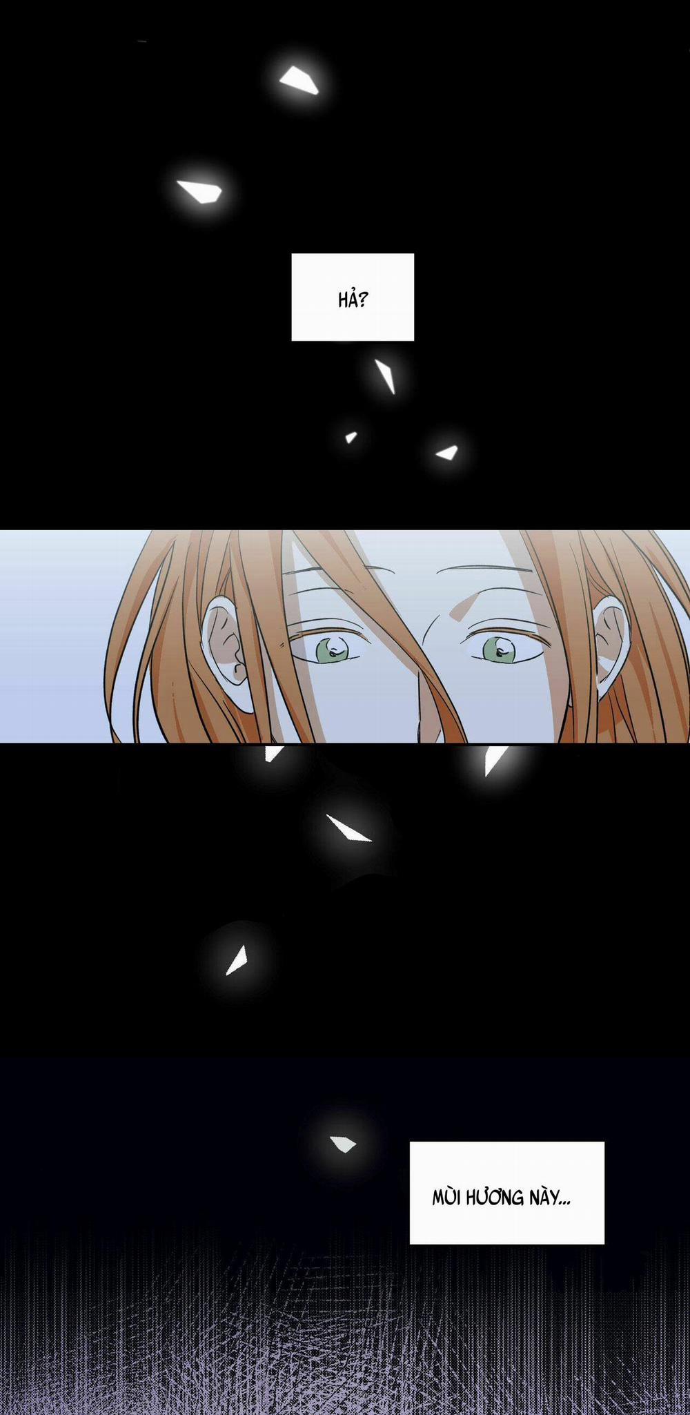 Cấp Trên 3 trang 3