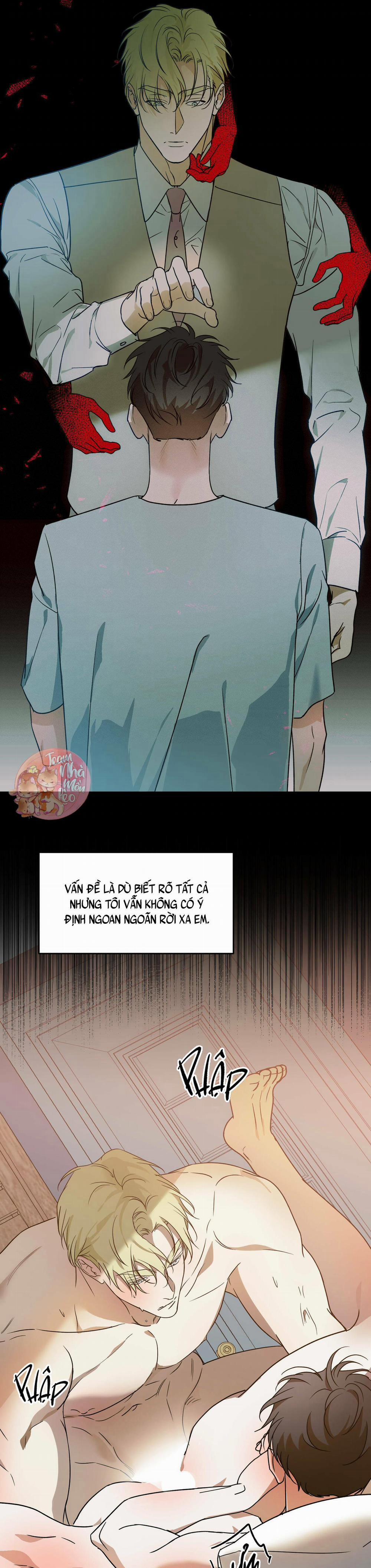 Cấp Trên 30 trang 12