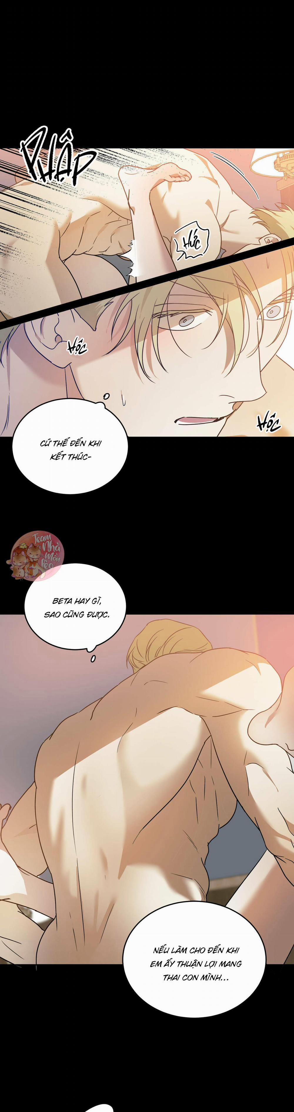 Cấp Trên 30 trang 13