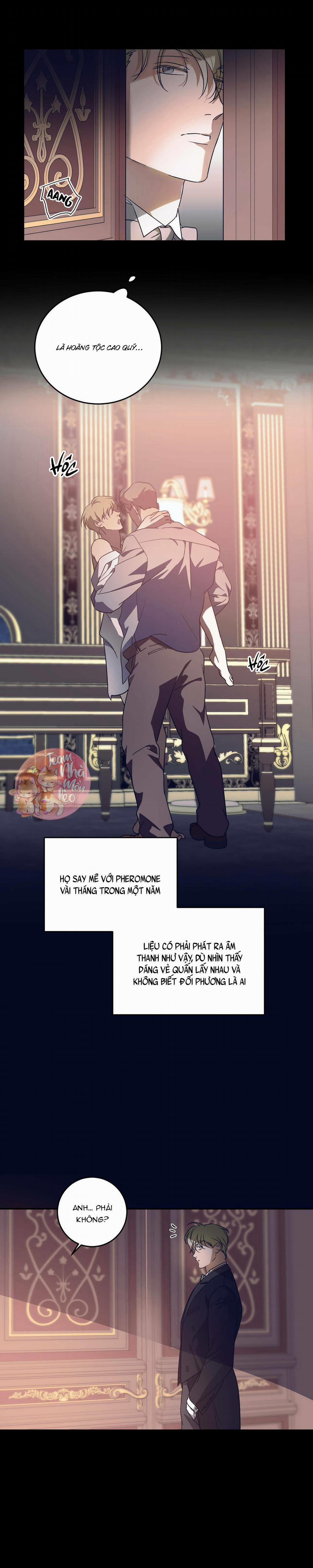 Cấp Trên 30 trang 2