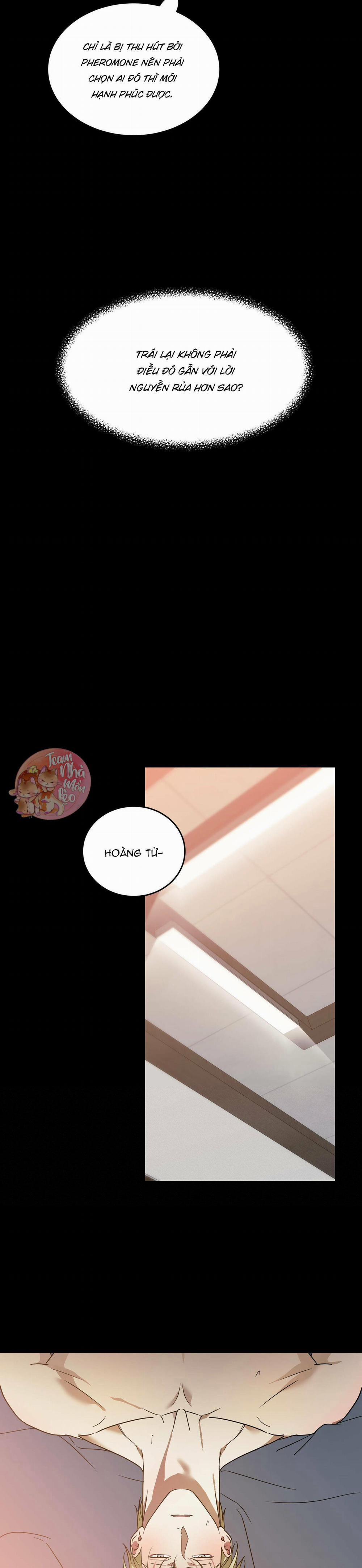 Cấp Trên 30 trang 4