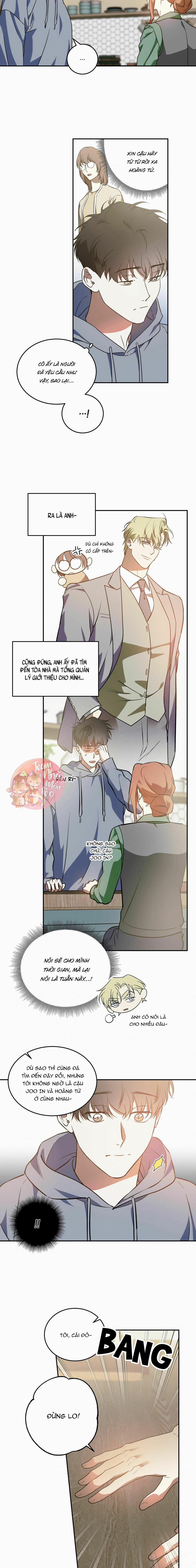 Cấp Trên 31 trang 5