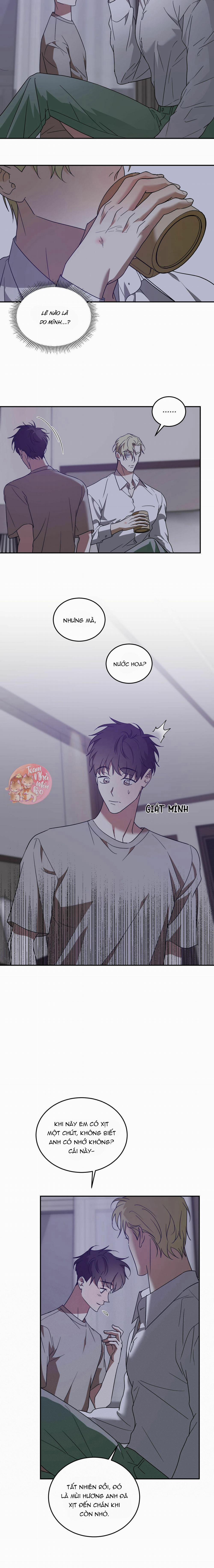 Cấp Trên 35 trang 12