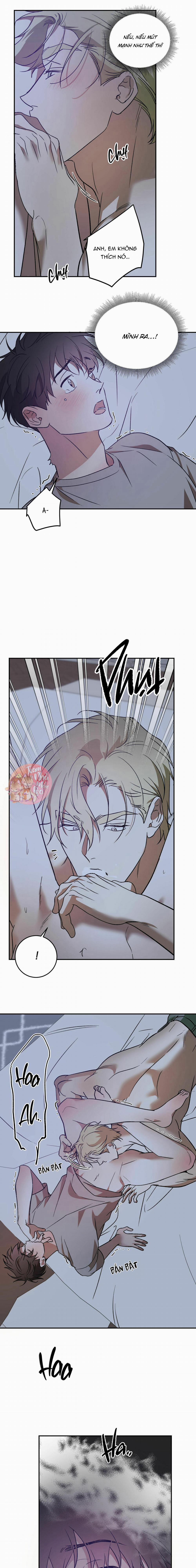 Cấp Trên 36 trang 11