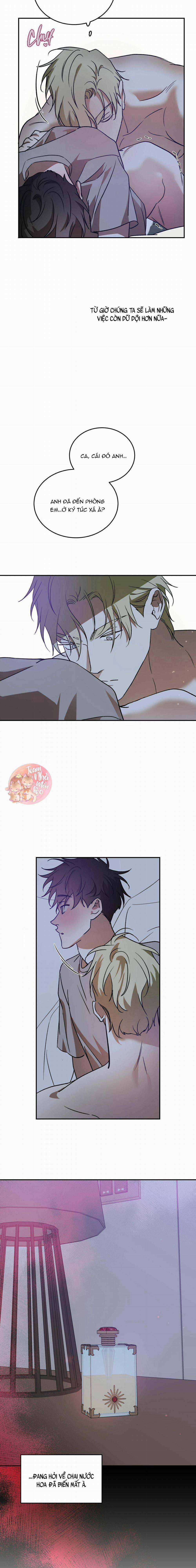 Cấp Trên 36 trang 13