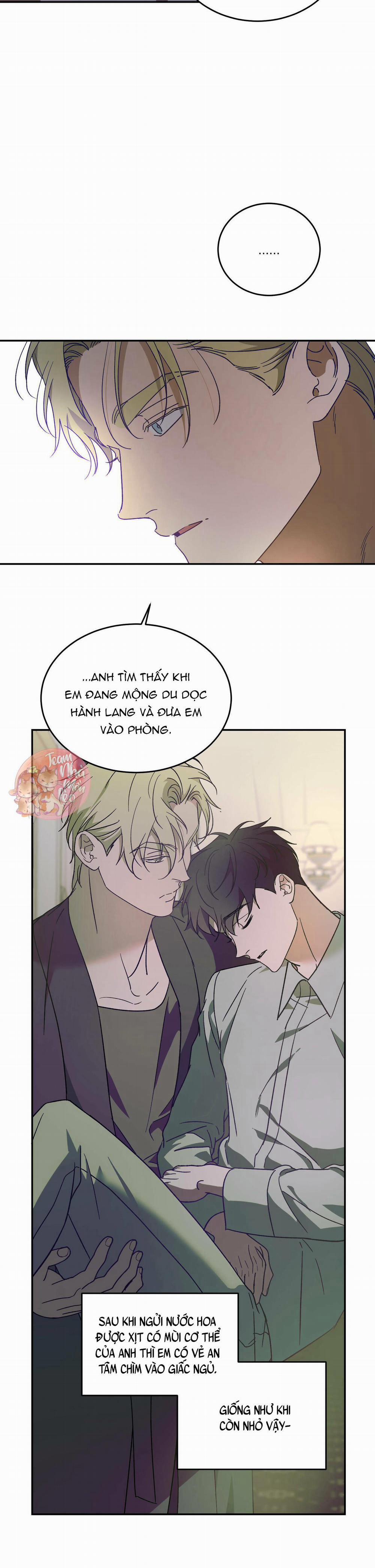 Cấp Trên 37 trang 3