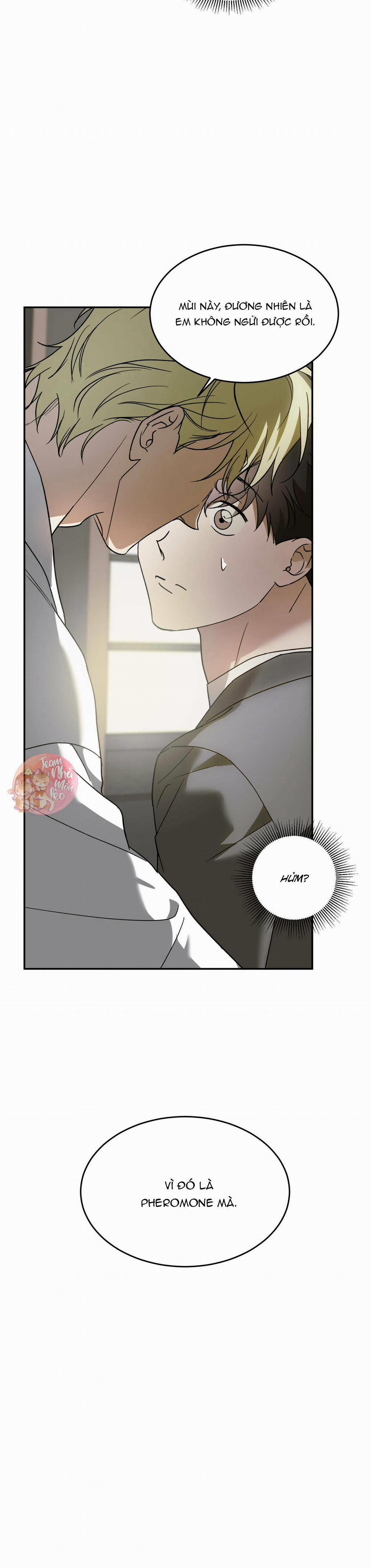 Cấp Trên 39 trang 11