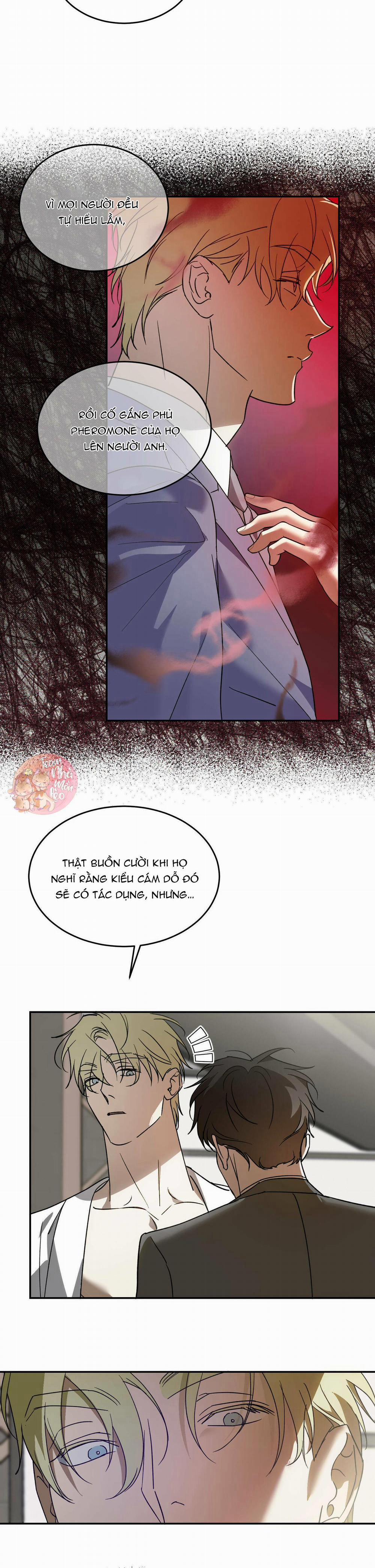 Cấp Trên 39 trang 13