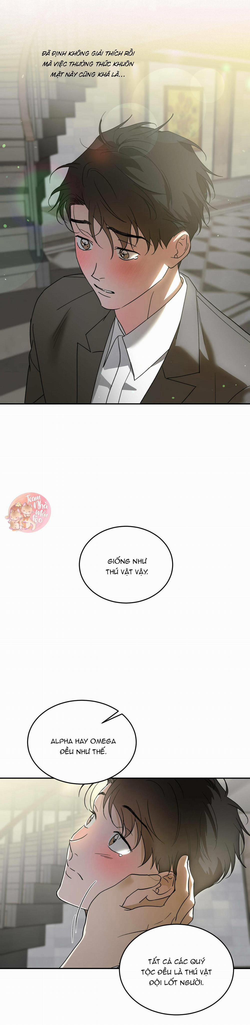 Cấp Trên 39 trang 16