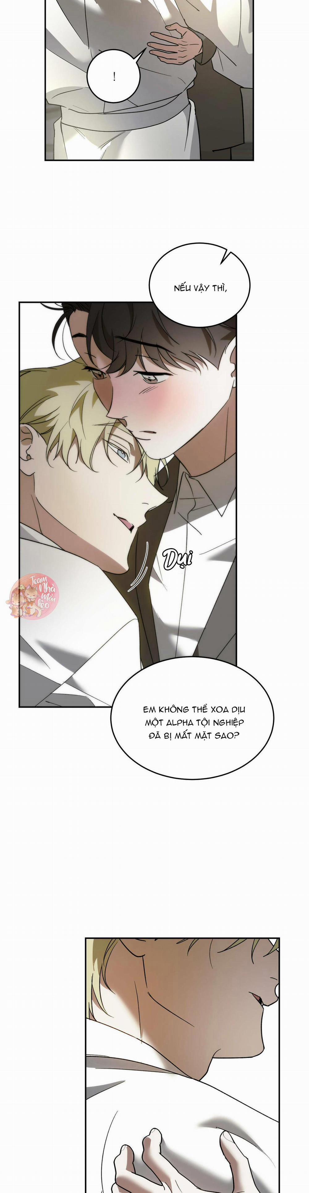 Cấp Trên 39 trang 22