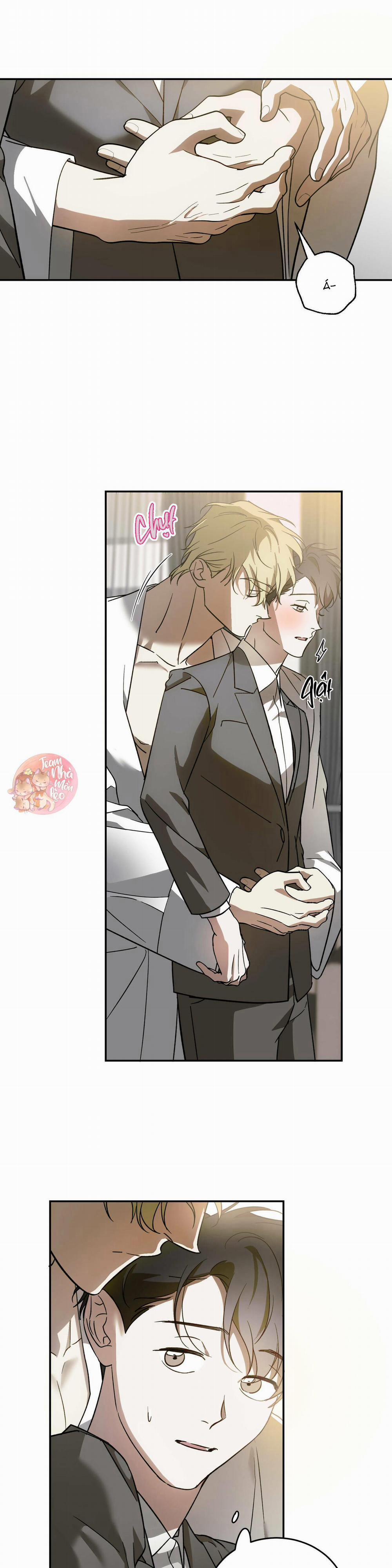 Cấp Trên 39 trang 3