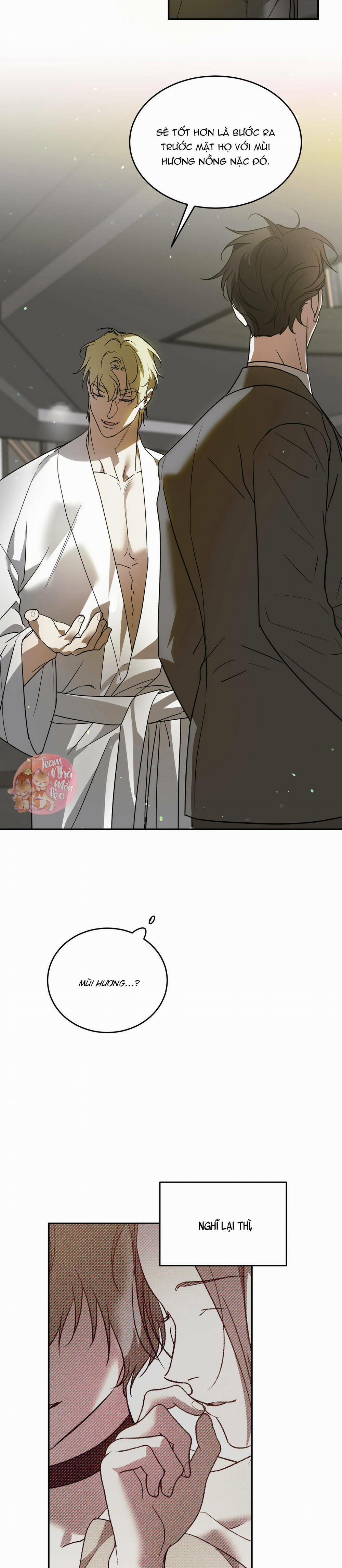 Cấp Trên 39 trang 7