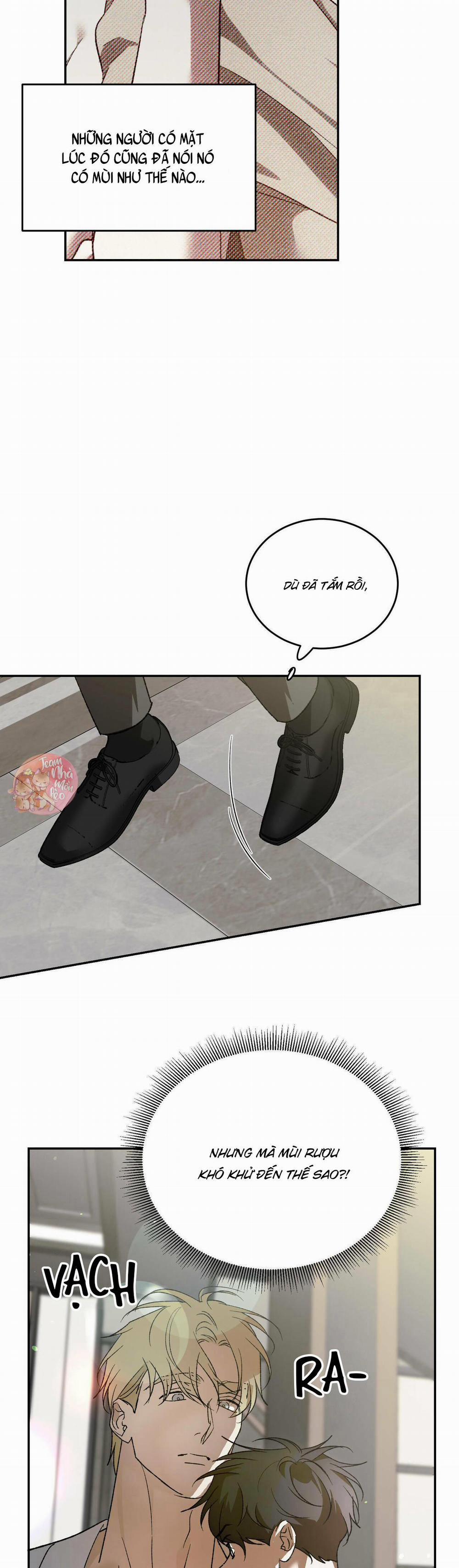 Cấp Trên 39 trang 8