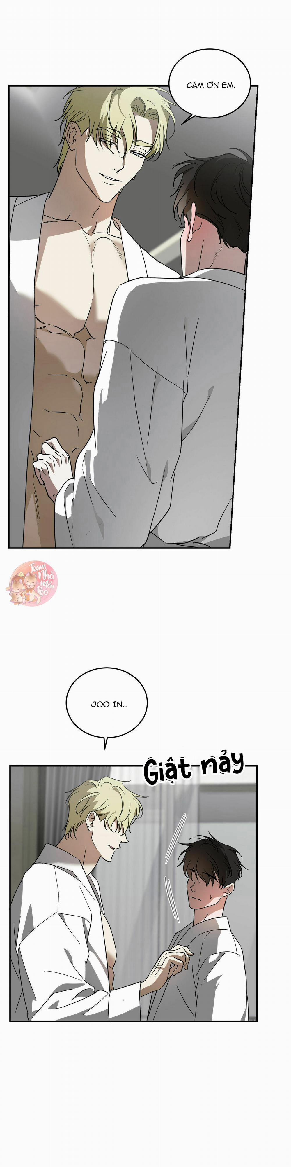 Cấp Trên 40 trang 11