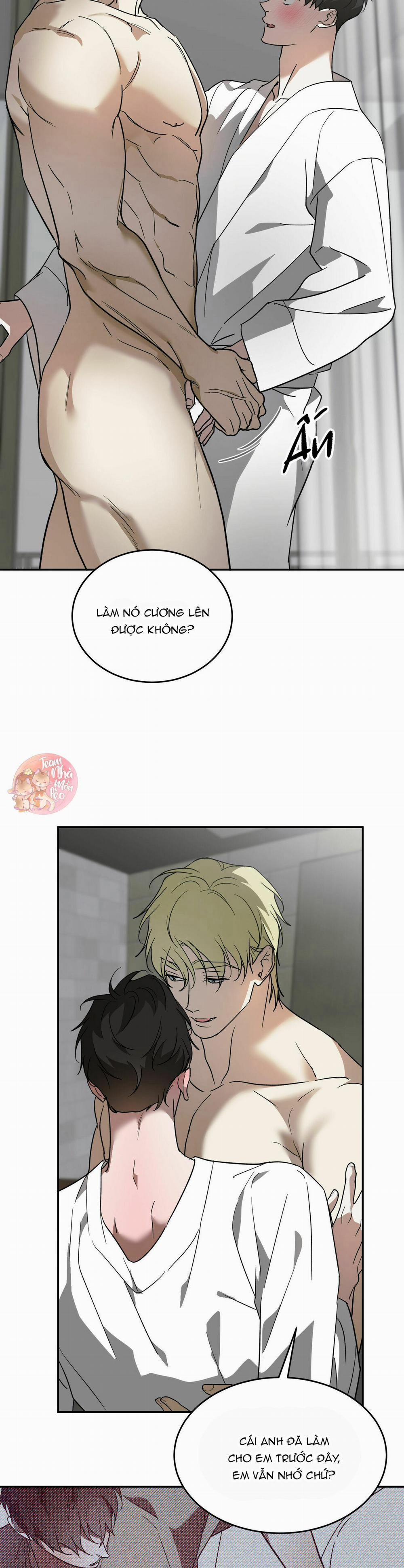 Cấp Trên 40 trang 13