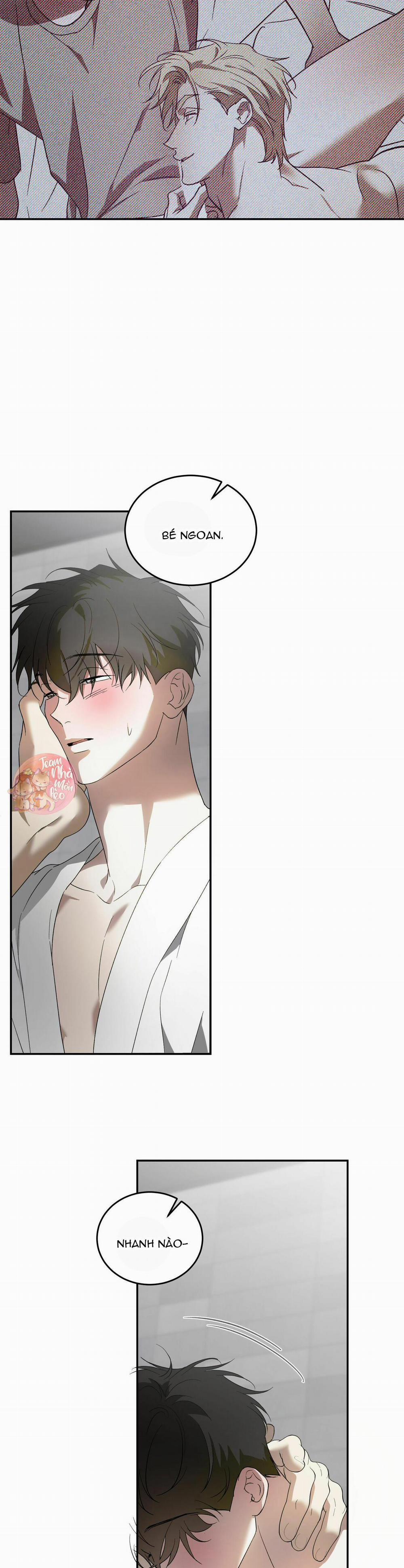 Cấp Trên 40 trang 14