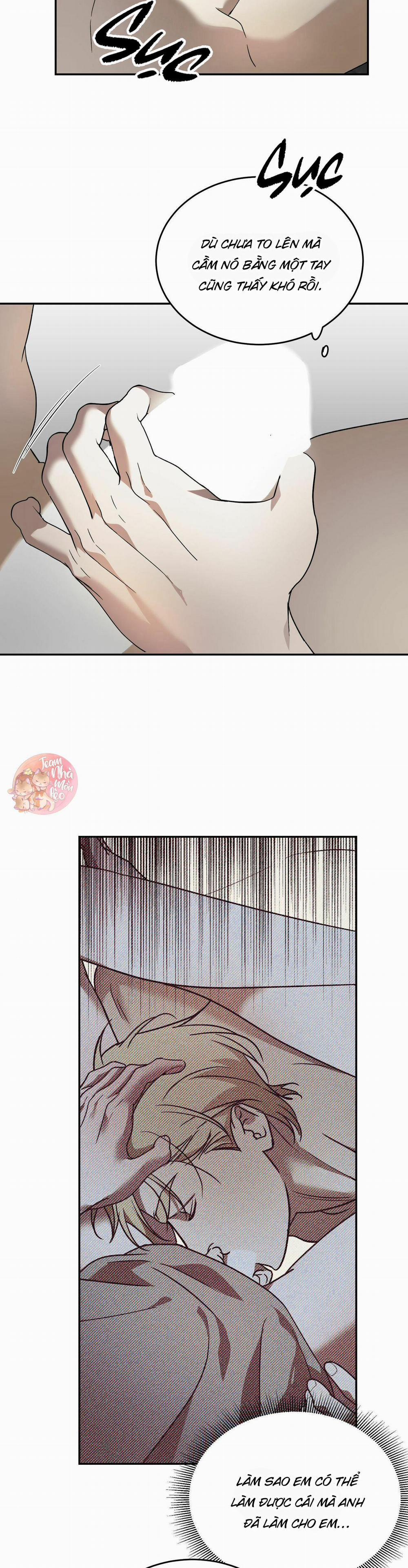 Cấp Trên 40 trang 16