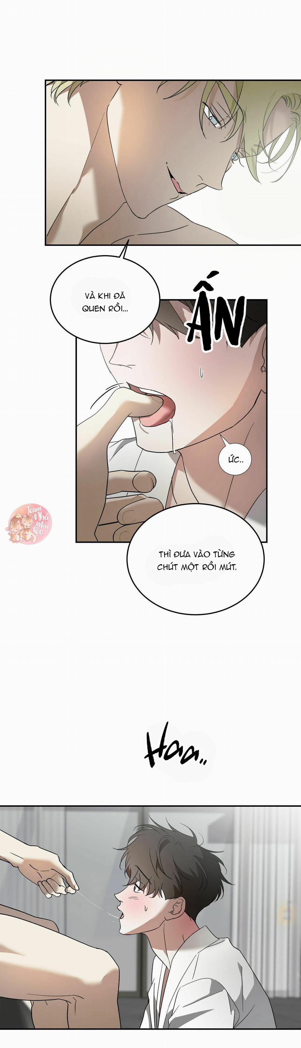 Cấp Trên 40 trang 18