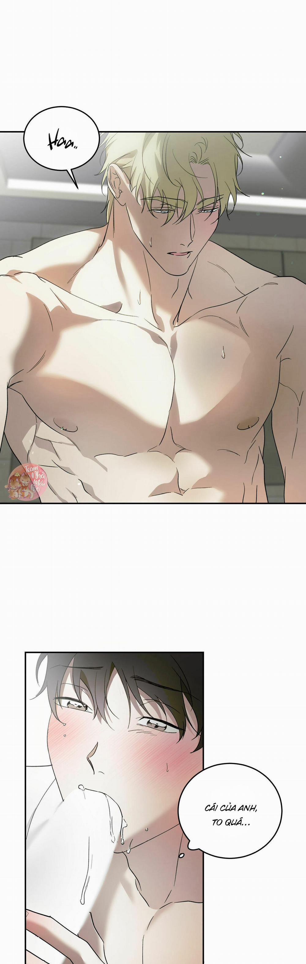 Cấp Trên 40 trang 20