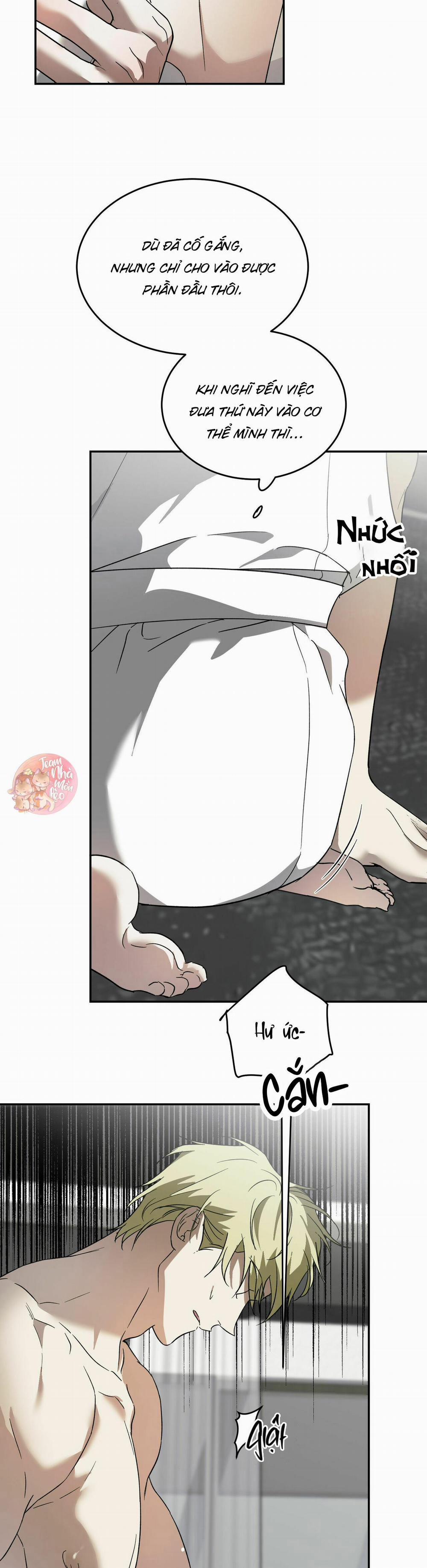 Cấp Trên 40 trang 21